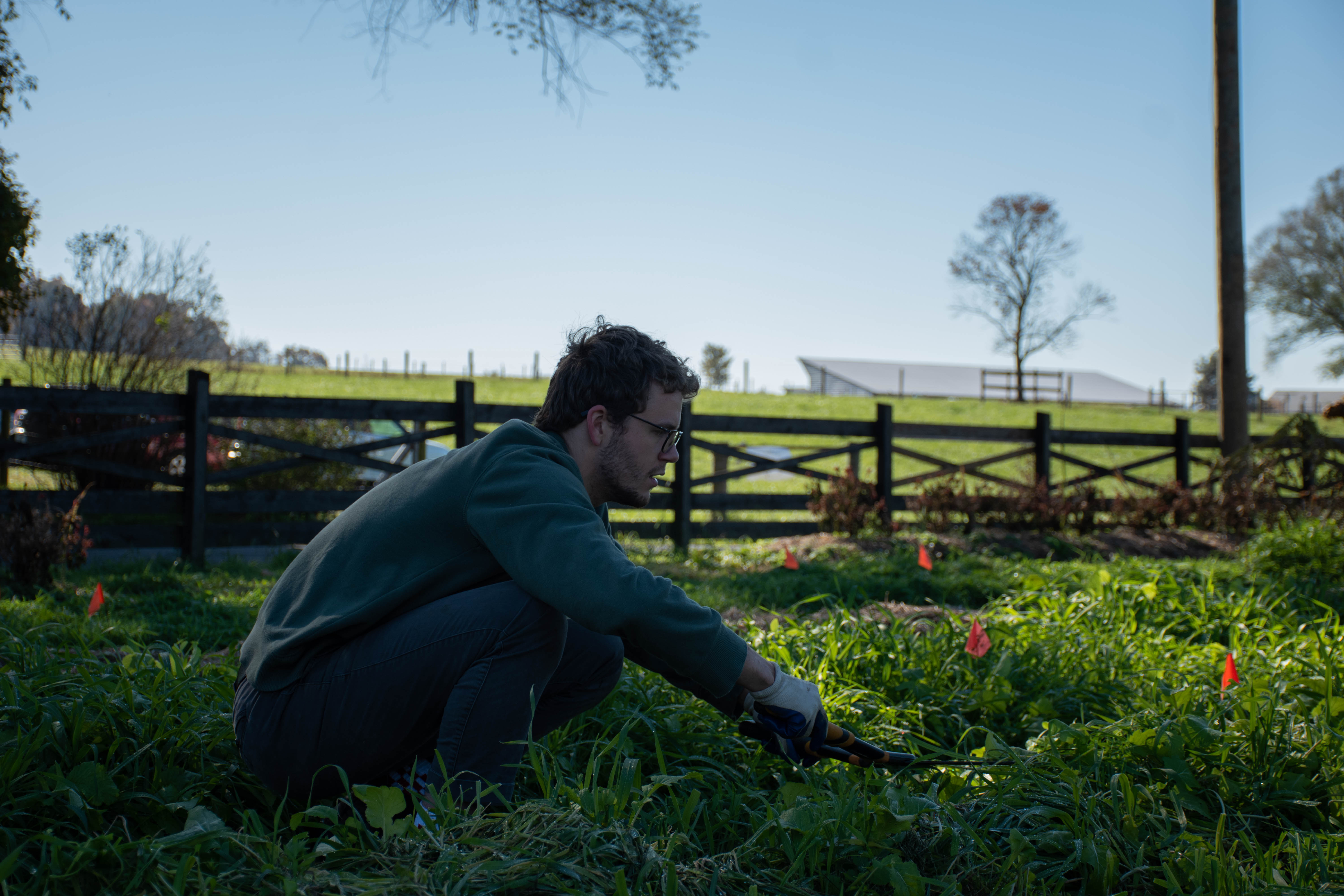 JMU students planting